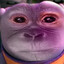 monkeysuit