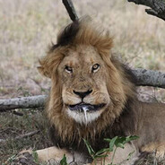 долги по комуналк