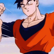 Adult Gohan: One Arm