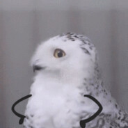 仿生雪豹会梦见电子烟吗