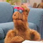 ALF