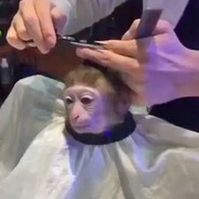 orioneb - steam id 76561198235206644