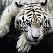 ❸→₡₳χӦ®Ӧ₭ ←❸