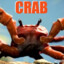 Crab