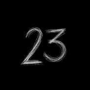 23 - steam id 76561199441686311