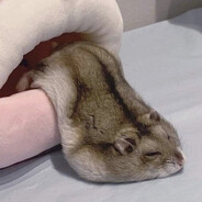 再也不吃糖了呜