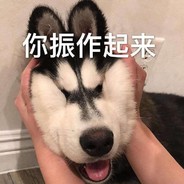 低三下四你小弟