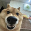 不要给我哇哇叫