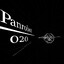 panrobot020