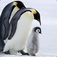 Q进群550691838*****篇________003FD1