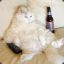 Fat Cat [FiN]