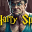 Harry Spotter TheForbiddenWeight