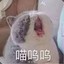 MEOWYo