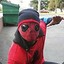 gHeTto SpIdEr