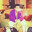 drizzy avatar