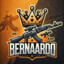 Bernaardo  CSGOSKINS