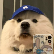 你与晚安皆是谎言