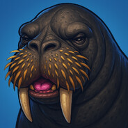 rgs - steam id 76561197960784635