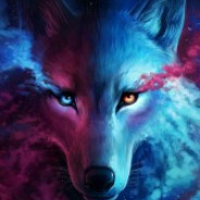 Wolf avatar