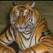 prosto_xalva32