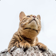 Condec - steam id 76561197971031138
