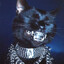 Diddy Cat