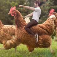 Почти порядочный