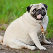 анонимный леха