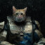 Meowster Chief