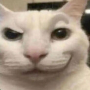 Vachta cat avatar