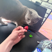 ТВОЮ МАТЬ - steam id 76561199142880178