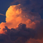 乱红飞过秋千去