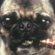 满山的猴子我腚最红