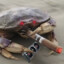 CrabMafia