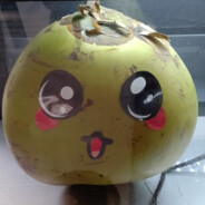 Олежа Орешников