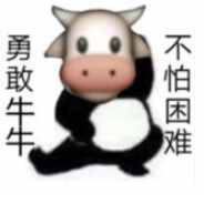 闲不住的憨憨