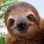 SlothLife