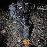 カモラクール - steam id 76561199663562385