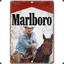 Marlboro Cowboy
