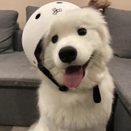 入场券没陪我数羊