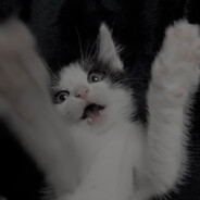 жлумпыш - steam id 76561199446411866