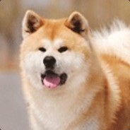 一只有梦想的狗