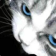 学过金融所以很会炒币