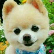 人浪枪歪身法差i