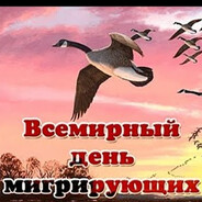 Такс Enjoyer