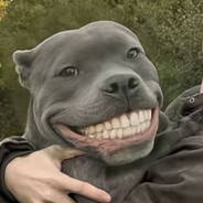 Comradd avatar