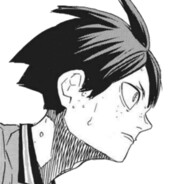 ====下等马分界线====