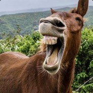Reports can't stop me - steam id 76561197960302633
