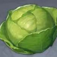 Cabbage