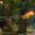 Archer Unleashed